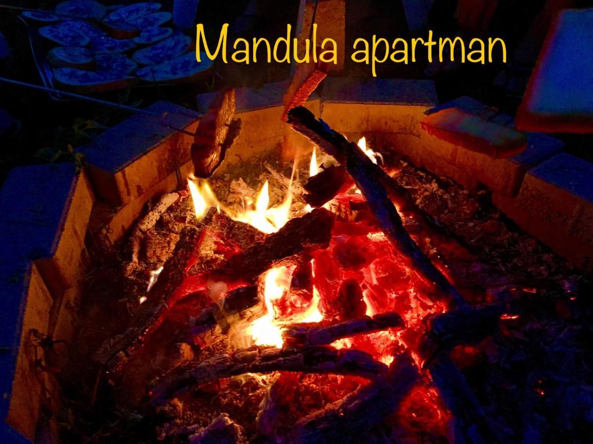 Mandula Cegléd